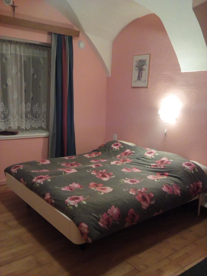 Country House U Potoka Guest House Božanov Eksteriør bilde